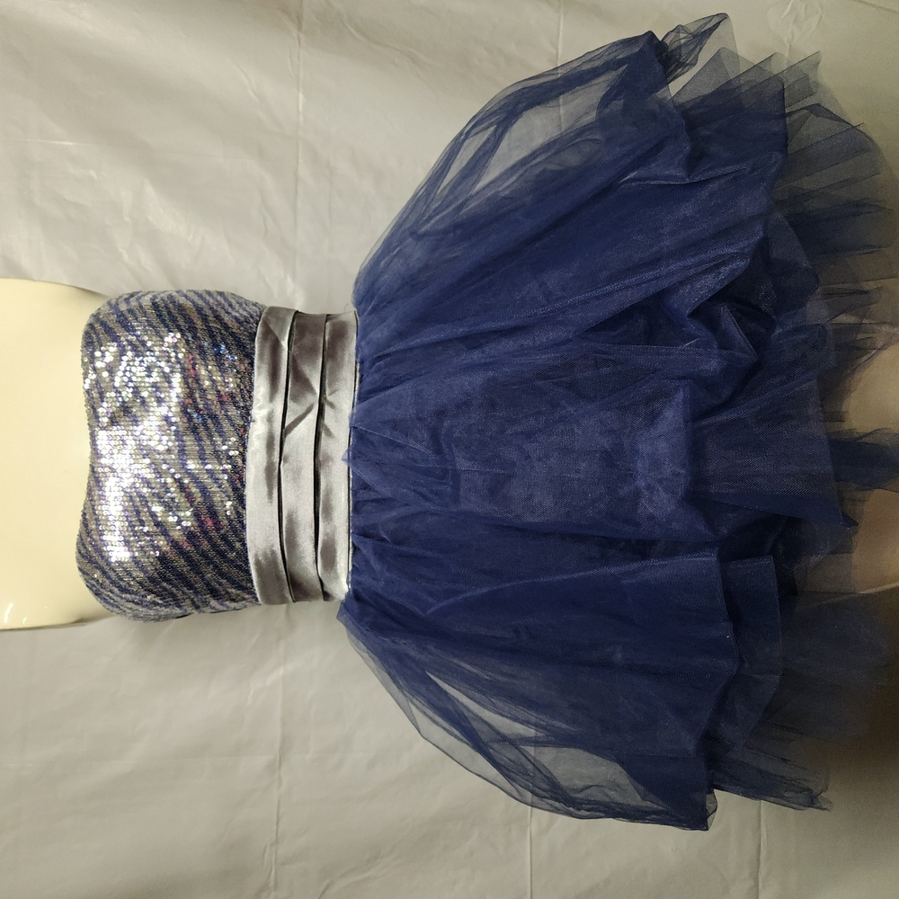 Blue and Silver Strapless Dress